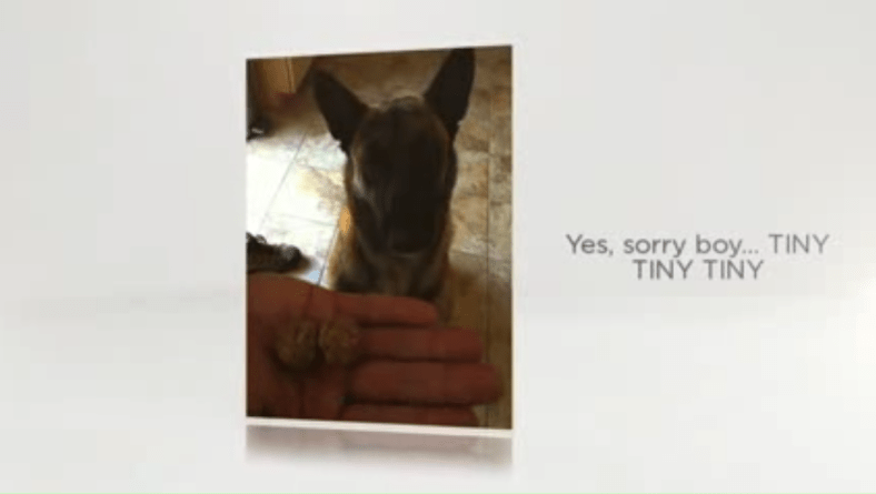 Jody Raines, WebMarCom, Raines v. Aristeo, Bruce Aristeo