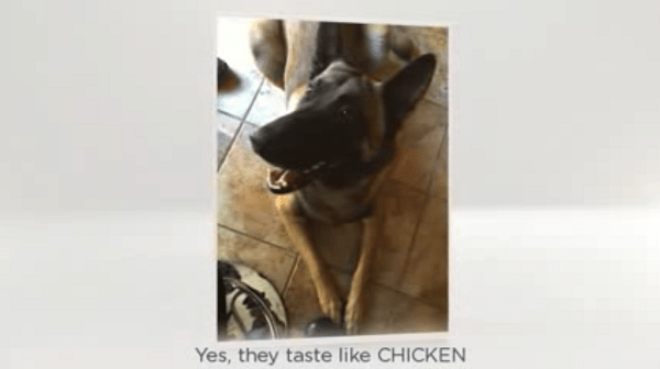 Jody Raines, WebMarCom, Raines v. Aristeo, Bruce Aristeo