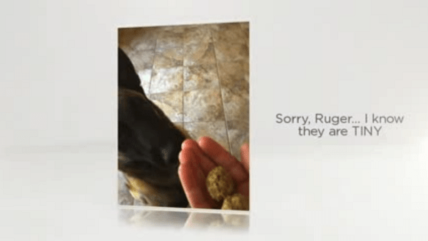 Jody Raines, WebMarCom, Raines v. Aristeo, Bruce Aristeo