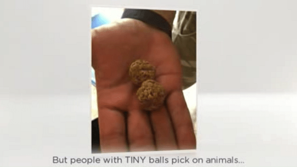 Jody Raines, WebMarCom, Raines v. Aristeo, Bruce Aristeo