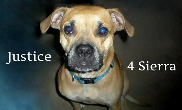 Kansas City PD, Kansas City Police Department, KCPD